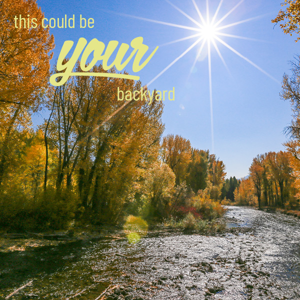Picture of the Big Wood River in Ketchum during autumn